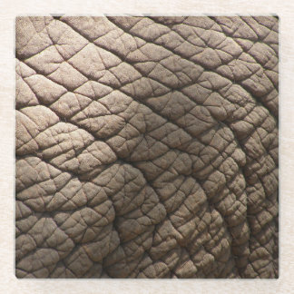 Real Elephant Skin Texture, Wrinkled. Glass Coaster