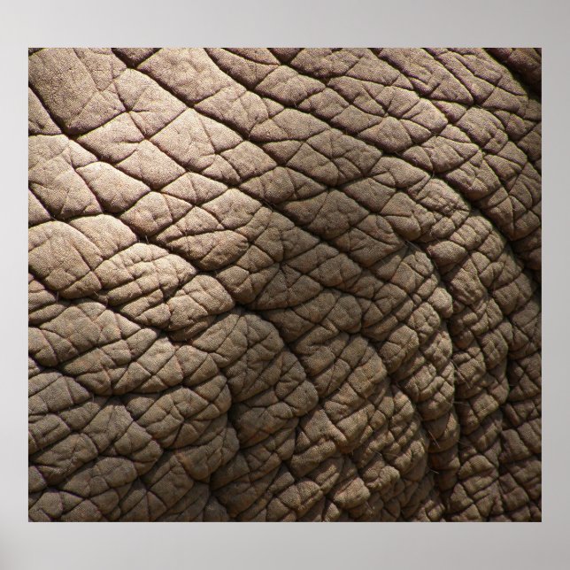 Real Elephant Skin Texture, Wrinkled. Poster (Front)
