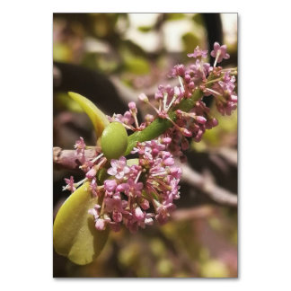 Real environment view table number