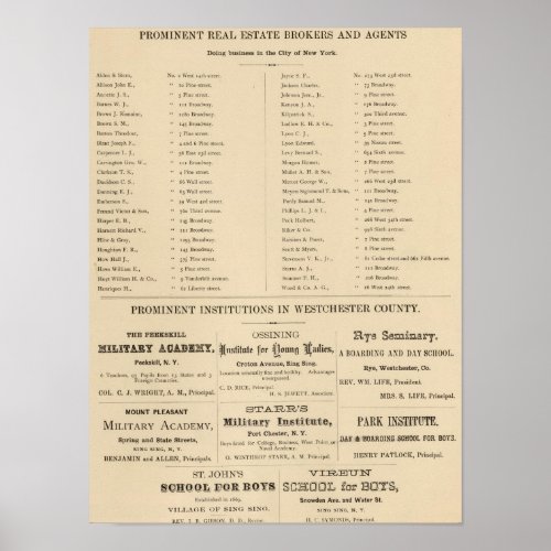 Real estate brokers NYC Institutions Poster