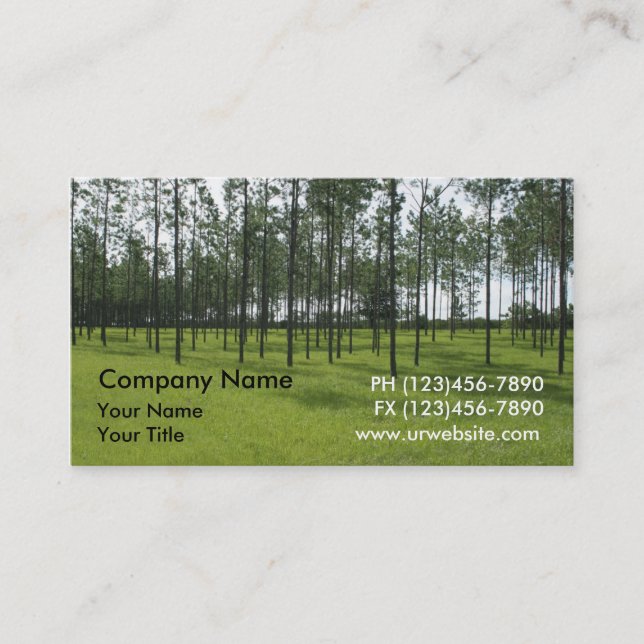 Real Estate Business Cards (Front)