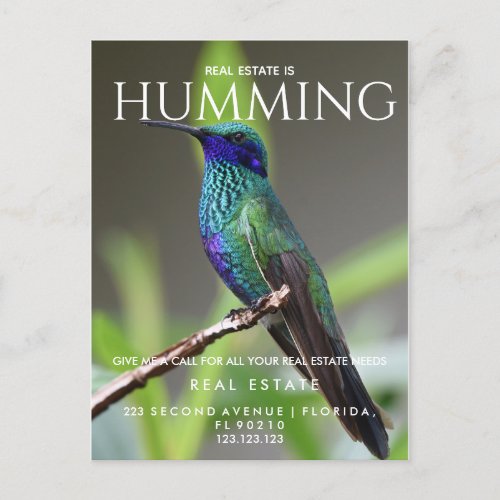 Real estate  humming bird Pop by  Postcard Square