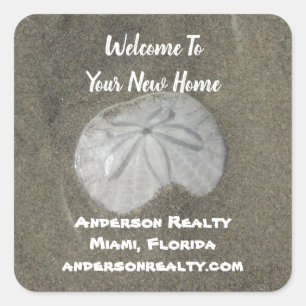 Real Estate Sand Dollar Coastal Home Sales Promo Square Sticker