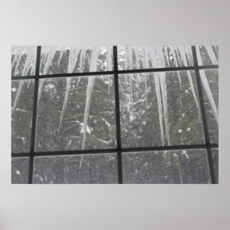 Real iceicles poster