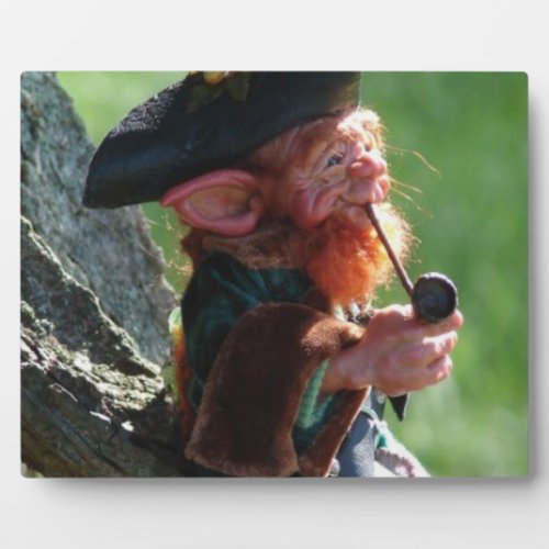 real leprechaun plaque