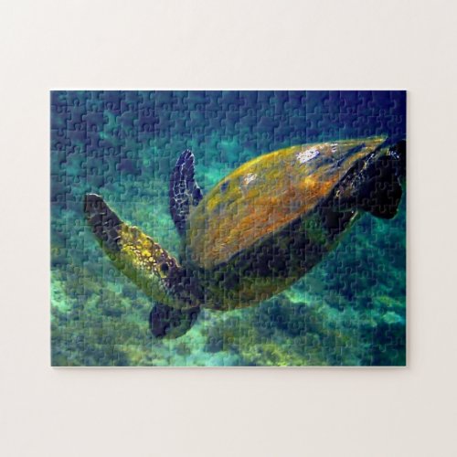 Real living sea turtles jigsaw puzzle