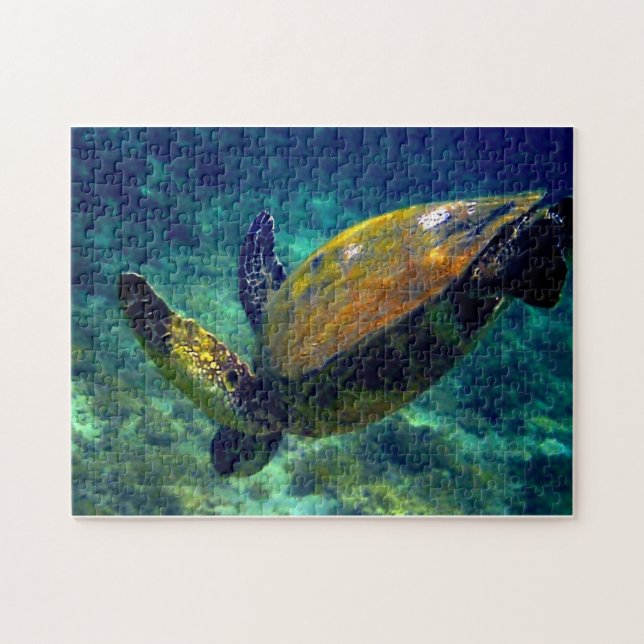 Real living sea turtles jigsaw puzzle (Horizontal)