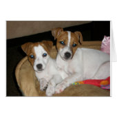 Real Love (Front Horizontal)