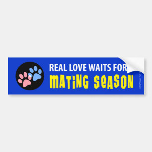 True Love Waits Static Cling