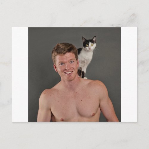 Real men love cats postcard