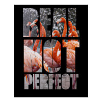 Real Not Perfect Quote Flamingo Tropical Birds Pos
