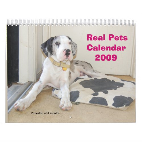 Real Pets 2009 Calendar