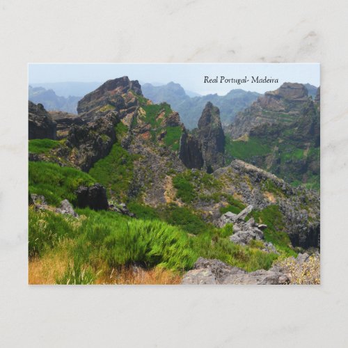 Real Portugal_ Madeira Postcard