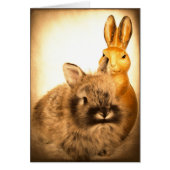 Real Rabbit and Fake Rabbit (Front)