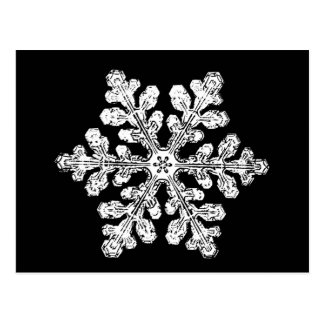 Real Snowflake Real Snowflake