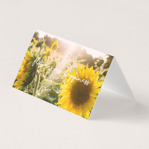 Real Sunflower Photo Field Flowers Are Happiness