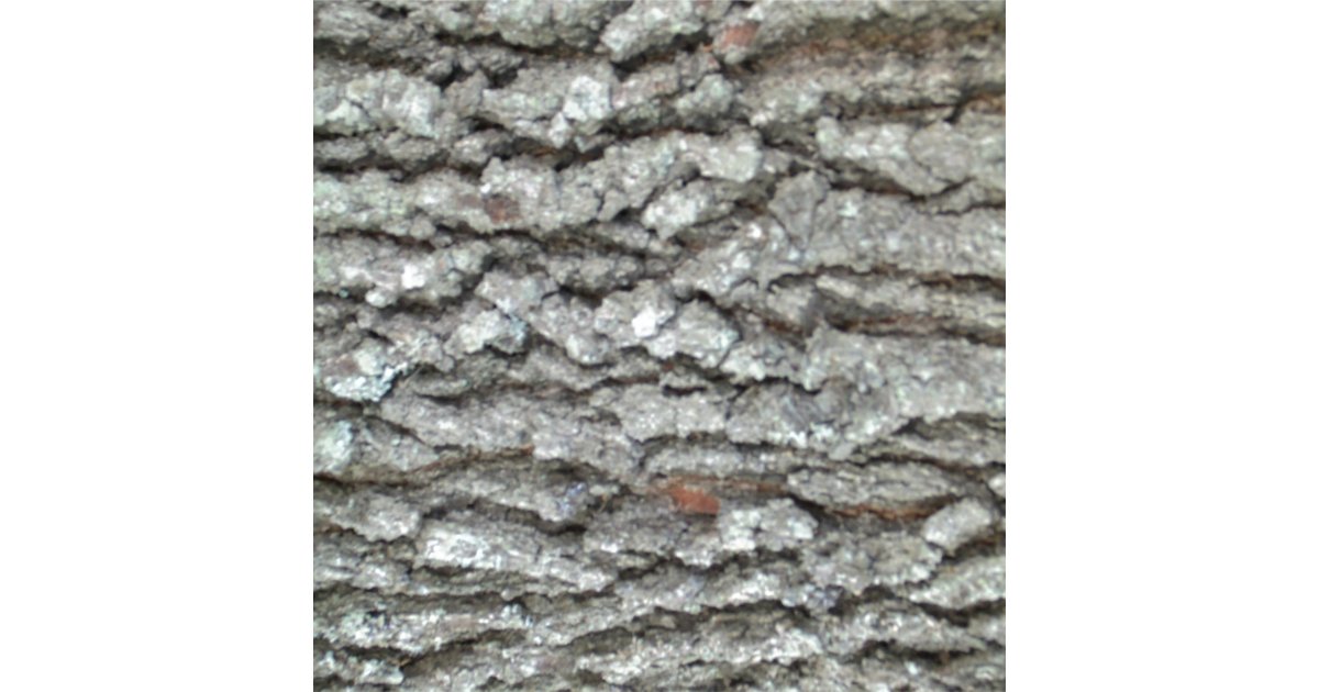 Real wood camouflage oak tree bark camo fabric zazzle