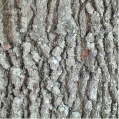 Real Wood Camouflage Oak Tree Bark Camo Statuette