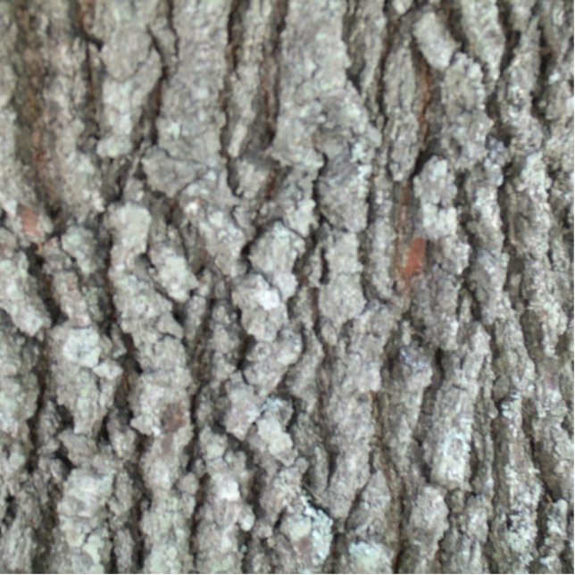 Real Wood Camouflage Oak Tree Bark Camo Statuette (Front)