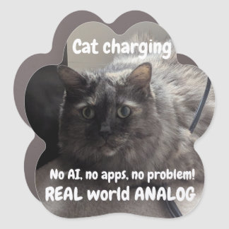 Real World Analog by RoseWrites Car Magnet