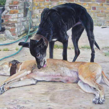 Realist Painting Of Two Cute Grayhound Dogs  Jigsaw Puzzle by artoriginals at Zazzle