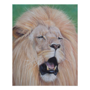 realist picture of lion roaring big cat wildlife poster