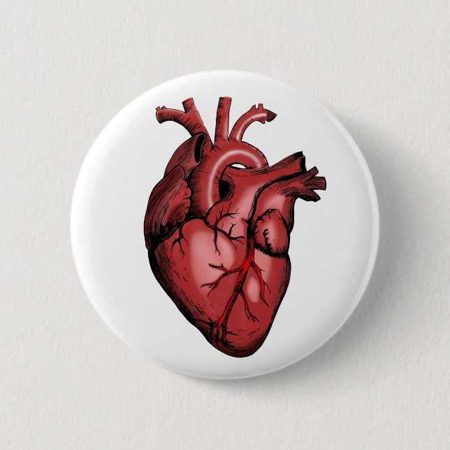 Realistic Anatomical Heart Image Button (Front)