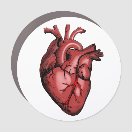 Realistic Anatomical Heart Image Car Magnet