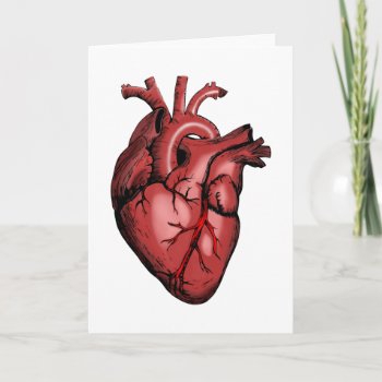 Realistic Anatomical Heart Image Card by GigaPacket at Zazzle