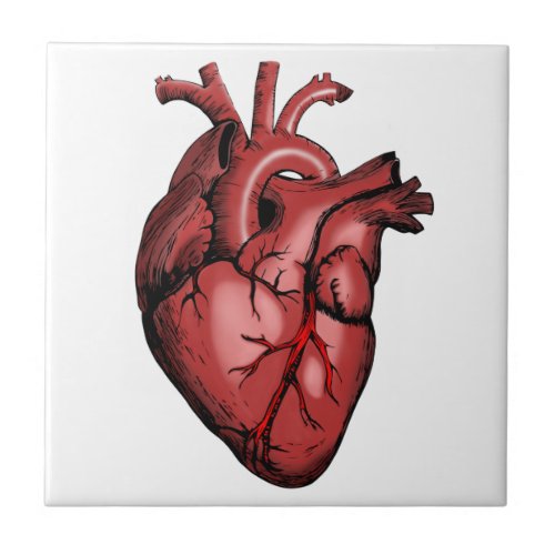 Realistic Anatomical Heart Image Ceramic Tile