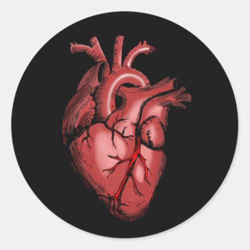 Realistic Anatomical Heart Image Classic Round Sticker