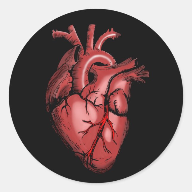 Realistic Anatomical Heart Image Classic Round Sticker (Front)