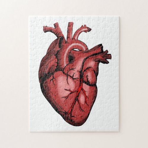 Realistic Anatomical Heart Image Jigsaw Puzzle