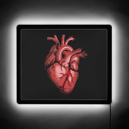 Realistic Anatomical Heart Image LED Sign