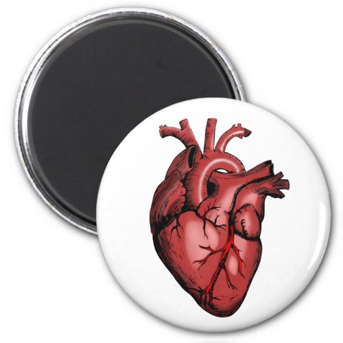 Realistic Anatomical Heart Image Magnet