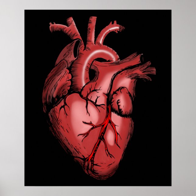 Realistic Anatomical Heart Image Poster (Front)