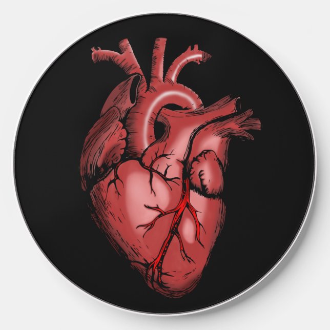 Realistic Anatomical Heart Image Wireless Charger (Front)
