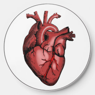 Realistic Anatomical Heart Image Wireless Charger