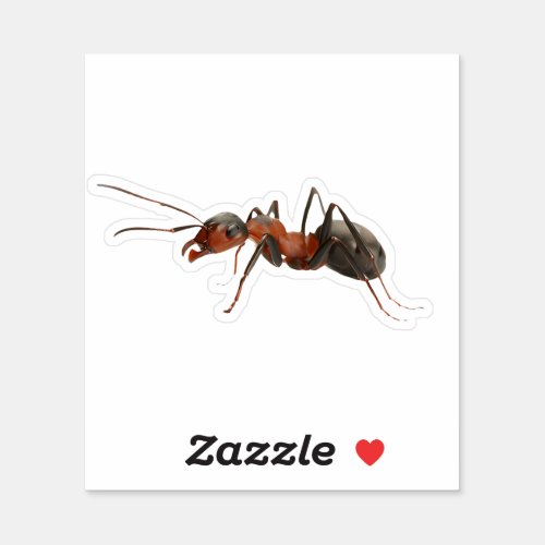 Realistic Ant Sticker