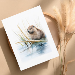 Realistic Beaver by the Water – Wildlife Greeting Postcard