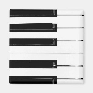 Realistic Black White Piano Keyboard Keys Magnet