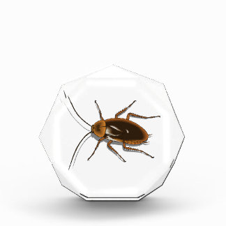 Realistic Brown Cockroach Insect Award