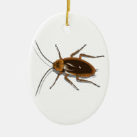 Realistic Brown Cockroach Insect