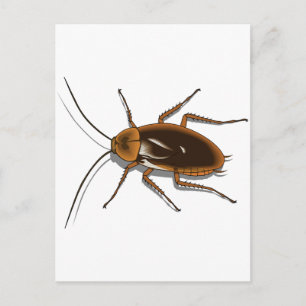 Realistic Brown Cockroach Insect Postcard