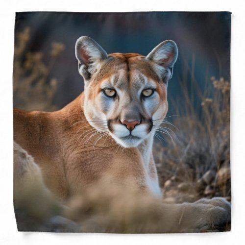 Realistic Cougar Mountain Lion Big Cat Animal Wild Bandana