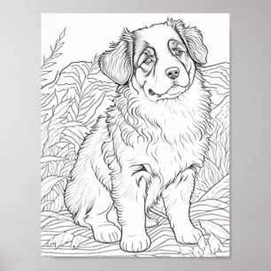 Realistic Dog Adult Coloring Poster