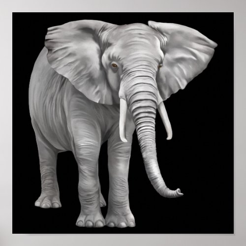realistic Elephant background Poster