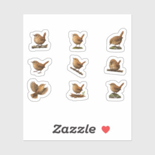 Realistic Eurasian Wren Sticker Sheet Vintage