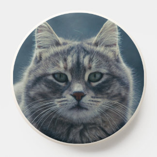 Realistic Feline Pet Lover Round Wall Clock Design PopSocket