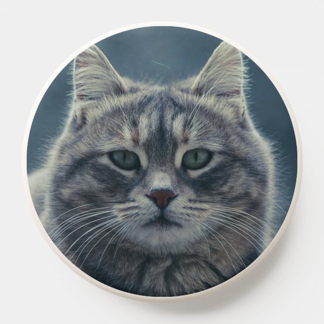 Realistic Feline Pet Lover Round Wall Clock Design PopSocket (Popsocket)